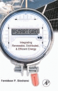 Smart Grid: Integrating Renewable, Distributed & Efficient Energy