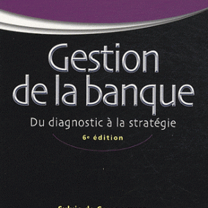 Gestion de la banque - Du diagnostic à la stratégie