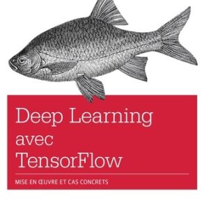 Deep learning avec TensorFlow : mise en ouvre et cas concrets