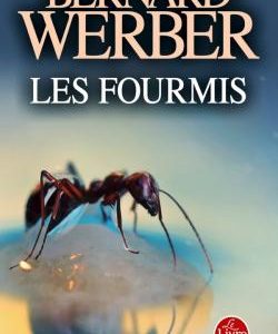 Les Fourmis