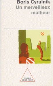 Un merveilleux malheur