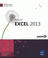 Microsoft Excel 2013