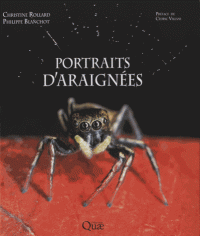 Portraits d'araignées