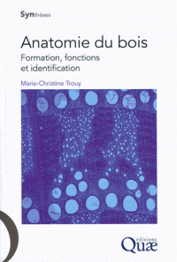 Anatomie du bois - Formation, fonctions et identification
