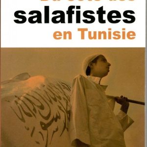 Du côté des Salafistes en Tunisie, Tactiques ou stratégie ?